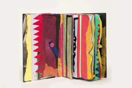 Libro 7