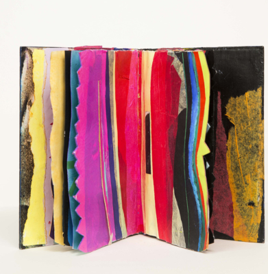 Libro 7