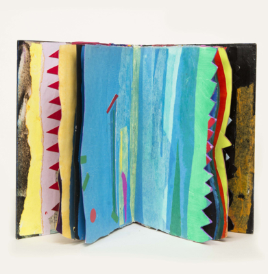 Libro 7